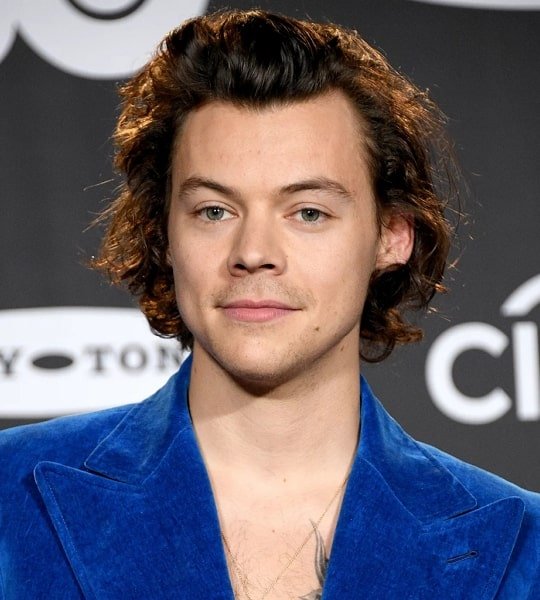 Harry Styles Net Worth 2024 Estimate 2024 Olia Trenna