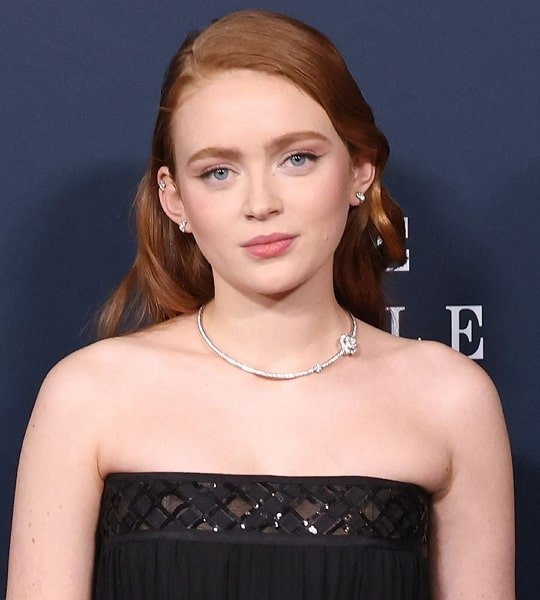 Sadie Sink Net Worth Age, Boyfriend, Family, Career 2024