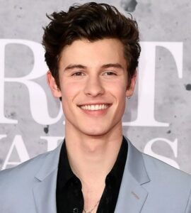 shawn mendes