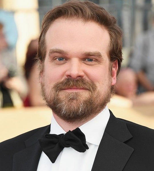 David Harbour Wiki Bio Age Net Worth Wife Career And More 2023