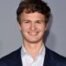 ansel elgort