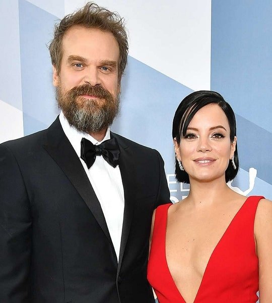 david harbour wife